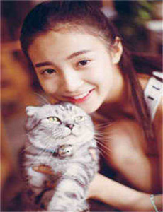 《苍井空电影去哪儿看网址-灵域第五季》